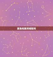 属兔和属鸡相配吗，属相婚配：男属兔和女属鸡相配吗