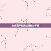 时辰属羊和属蛇婚配好不好，属羊和属蛇相配吗？