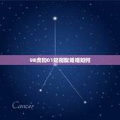 98虎和01蛇相配婚姻如何，98年的虎与01年的蛇能结婚吗