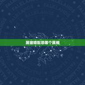 属猪婚配忌哪个属相，十二生肖属猪配什么属相好