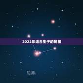 2022年适合生子的属相，2022年虎宝宝父母相克