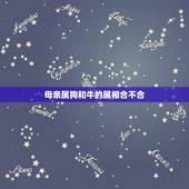母亲属狗和牛的属相合不合，属狗与属牛为什么不能在一起？