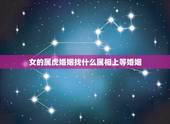 女的属虎婚姻找什么属相上等婚姻，属虎的女的应该找什么属相的对像呢？
