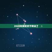 2022年属蛇终于转运了 2022年属蛇的幸运东西