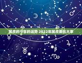 属虎的今年的运势 2022年属虎要出大事