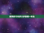 属狗的今年多大岁数哪一年生，属狗农历六月出生的人命运