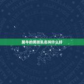 属牛的男孩乳名叫什么好，属牛男孩小名洋气点的