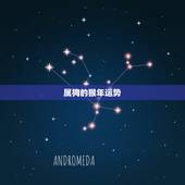属狗的猴年运势，属狗人影响属猴人财运吗