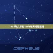 1991年女羊和1993年男鸡婚配吗，男属羊1991年和女属鸡1993