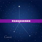 男生属鼠最佳配偶属相，属鼠的和什么属相最配 属鼠的最佳配偶属相