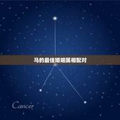 马的最佳婚姻属相配对，1994年属狗的婚配和1996年