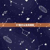 97属什么生肖婚配，97属什么的生肖配对