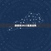 薇薇安2022星座运势，2022年星座运势完整版