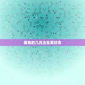 属兔的几月出生更好命，属兔几月出生大富大贵