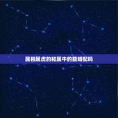 属相属虎的和属牛的能婚配吗，属牛和属虎的婚配如何