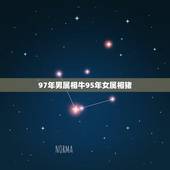 97年男属相牛95年女属相猪，97年属牛和95年属猪配吗