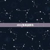 2022生肖运势马，2022年运势最好的生肖