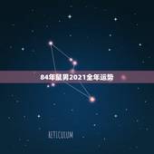84年鼠男2021全年运势，属鼠人2021年全年运势详解？