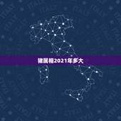 猪属相2021年多大，属猪的2021年多大
