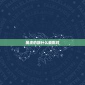 属虎的跟什么最配对，属虎和属龙的好不好