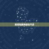 属龙和属狗的合不合，属狗和属龙做生意合么