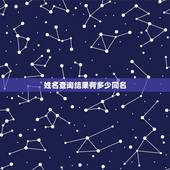 姓名查询结果有多少同名，怎么查询有多少个和自己重名的人？