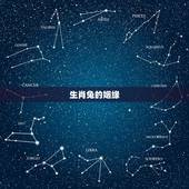 生肖兔的姻缘，属相兔与兔姻缘如何