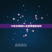 70年女狗和82年男狗婚配如何，1970年属狗的男性和1982年属狗的