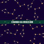 三角梅留3去2修剪方法图，三角梅怎么摘心图解，三角梅摘心去二留四，三角