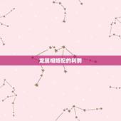龙属相婚配的利弊，属龙和什么属相结婚好