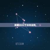 属猪2022下半年运势，2022年属猪运势女性