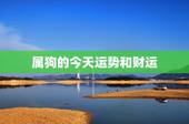 属狗的今天运势和财运，1982属狗下半年财运