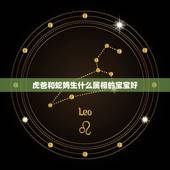 虎爸和蛇妈生什么属相的宝宝好，爸爸属虎妈妈属蛇生属什么的宝宝好