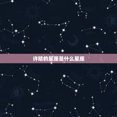 许晴的星座是什么星座，许晴的个人资料