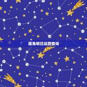 属兔明日运势查询，属兔今天运势及运程