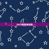 诸葛万年历2023年(预测未来指引人生)