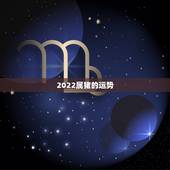 2022属猪的运势，属猪2022年运势及运程