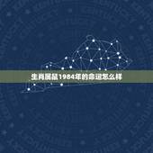 生肖属鼠1984年的命运怎么样，1984年属鼠的人2018年运程 84