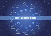 属马1990年男生婚配，1990年男生属马的男生应该找属什么的老婆好