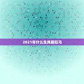 2021年什么生肖最旺马，2021年生肖运势属马
