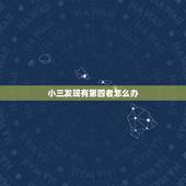 小三发现有第四者怎么办，第三者怀疑我有第四者怎么办