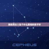属蛇的女人生个什么属相的孩子好，属牛和属蛇生育什么属相的孩子最好