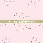 2022年十二生肖运程每月运势，2022年十二生肖猴运程每月运势