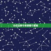 办红白事今年忌哪个属相，红白喜事一起办哭笑不得打一生肖