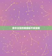 命中注定的姻缘躲不掉豆瓣，人的姻缘真的是命中注定的吗
