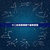 十二生肖属相哪个最有智慧，十二生肖智商排名，哪个生肖最聪明？