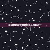 属鼠的和属蛇的婚姻怎么样好不好，属鼠的和属蛇的相配的婚姻好吗