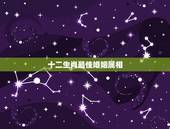 十二生肖最佳婚姻属相，12生肖最佳姻缘配对表