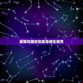 属猴和属蛇到底是相生相克，属蛇的人克制属猴的人吗