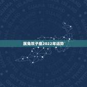 属兔双子座2022年运势，属兔的双子座，咋样？
